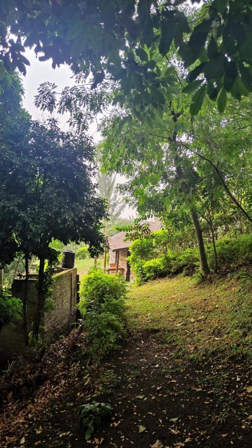 Lake Lyantonde Eco Campsite Original Fort Portal Kültér fotó